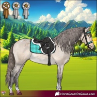 Horse Color:Brown Dun Sabino Varnish 