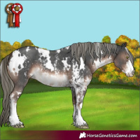 Horse Color:White Spotted Liver Chestnut Mushroom Sabino 