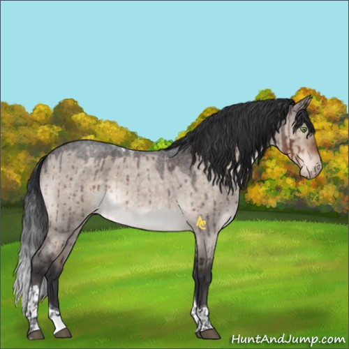 Horse Color:Brown Roan Dun Mushroom Tobiano Varnish Rabicano Brindle 