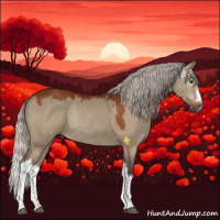 Horse Color:Gray Silver Brown Dun Sabino Rabicano 