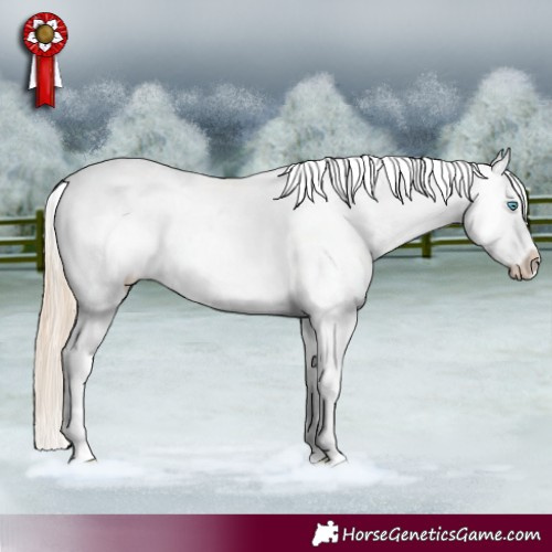 Horse Color:Perlino Dun Splash Tobiano Near Leopard Brindle 