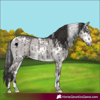 Horse Color:Platinum White Spotted Liver Red Dun Sabino Brindle