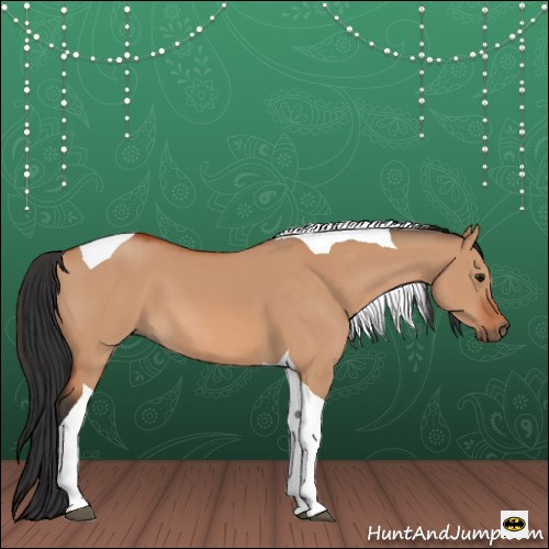 Horse Color:Bay Dun Tobiano 
