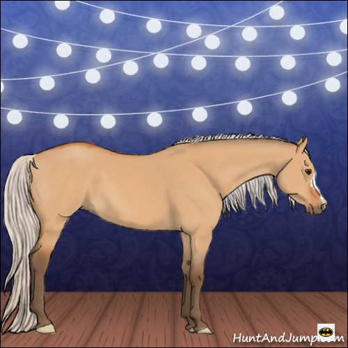 Horse Color:Silver Bay Dun 