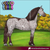 Horse Color:White Spotted Chocolate Grullo Chinchilla Brindle 