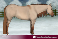 Horse Color:Red Dun 