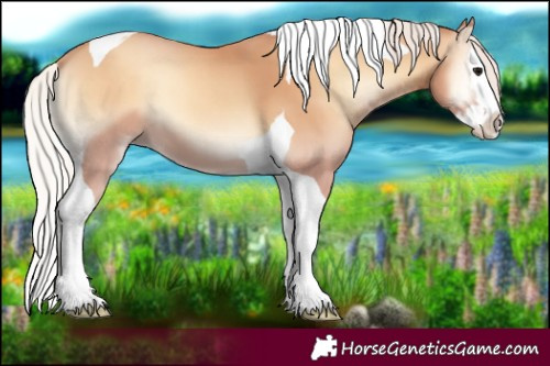 Horse Color:Silver Classic Champagne Onyx Splash Tobiano 
