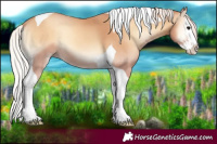 Horse Color:Silver Classic Champagne Onyx Splash Tobiano