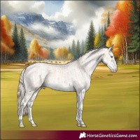 Horse Color:Perlino Sabino  and Cremello 