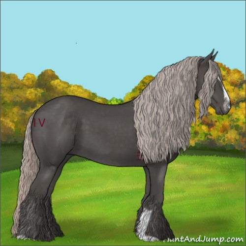 Horse Color:Silver Black Sabino 