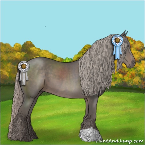 Horse Color:Silver Black 