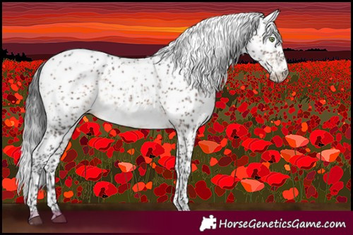 Horse Color:Brown Dun Mushroom Sabino Brindle 