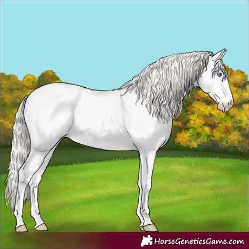 Horse Color:Perlino Ice 