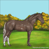 Horse Color:Silver Black 