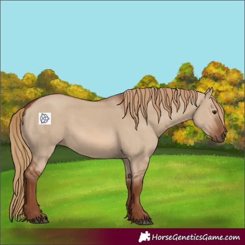 Horse Color:Red Dun 