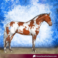 Horse Color:White Spotted Silver Bay 