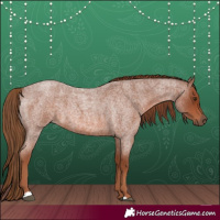 Horse Color:Red Roan 
