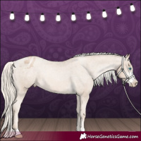 Horse Color:Chocolate Palomino Pearl Sabino Appaloosa Rabicano 