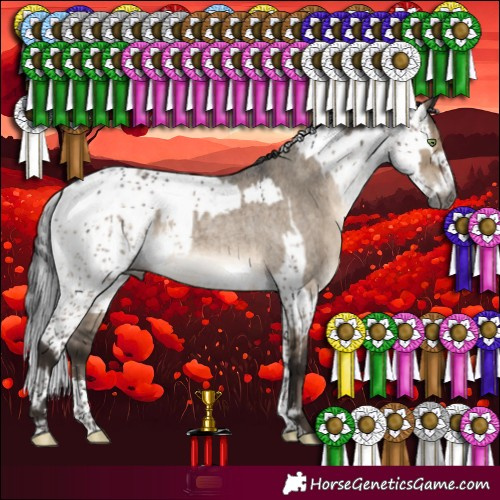 Horse Color:Gray Brown Roan Dun Mushroom Sabino Varnish Brindle  and Brown Dun Mushroom Sabino Brindle 