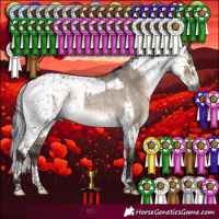 Horse Color:Gray Brown Roan Dun Mushroom Sabino Appaloosa Brindle  and Brown Dun Mushroom Sabino Brindle 