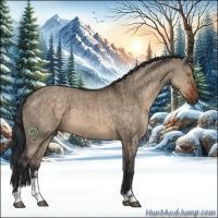 Horse Color:Brown Dun Sabino Brindle