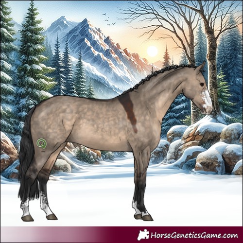 Horse Color:Brown Dun Sabino 