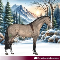 Horse Color:Brown Dun Sabino 