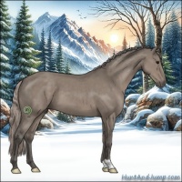 Horse Color:Silver Grullo 