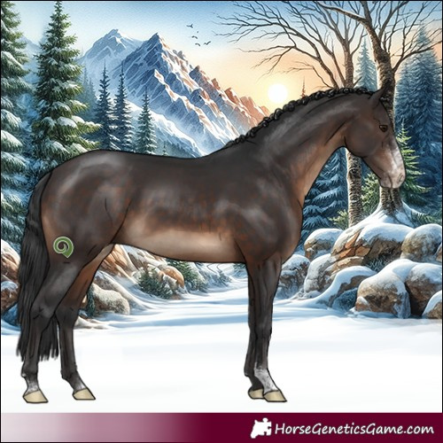 Horse Color:Brown Sabino