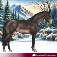 Horse Color:Brown Sabino 