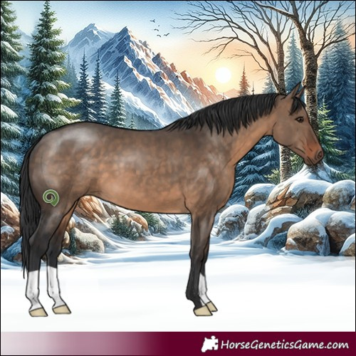 Horse Color:Brown Dun