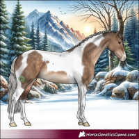 Horse Color:Silver Brown Dun Tobiano 