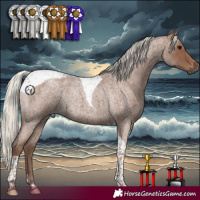 Horse Color:Silver Blue Roan Tobiano