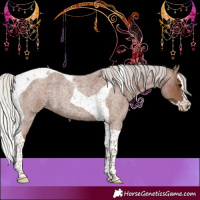 Horse Color:Silver Blue Roan Splash Tobiano