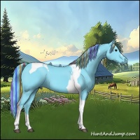 Horse Color:Painted Watercolor Black Tobiano