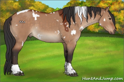 Horse Color:White Spotted Brown Dun Tobiano 