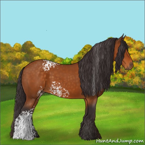 Horse Color:White Spotted Buckskin