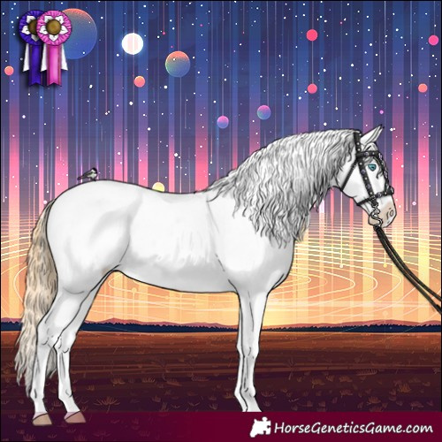 Horse Color:Buckskin Pearl Splash Tobiano Varnish 
