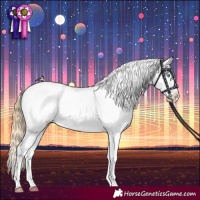 Horse Color:Buckskin Pearl Splash Tobiano Varnish 