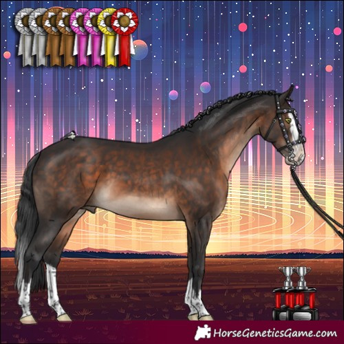 Horse Color:Brown Splash 