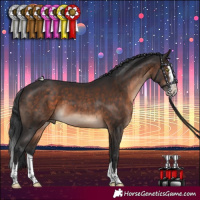 Horse Color:Brown Splash