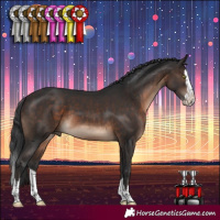 Horse Color:Brown Splash 