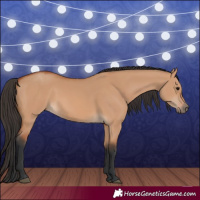 Horse Color:Bay Dun