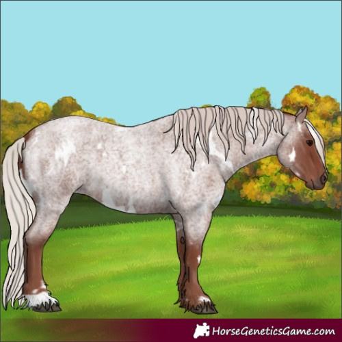 Horse Color:White Spotted Chocolate Silver Blue Roan 