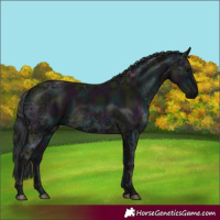 Horse Color:Midnight Black Ice 