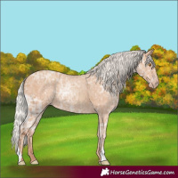 Horse Color:Silver Classic Champagne Ice