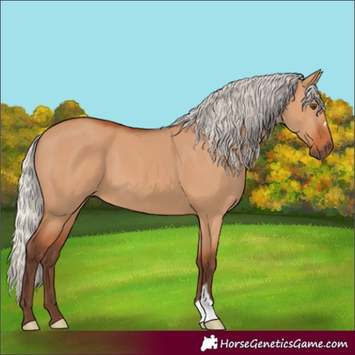 Horse Color:Silver Bay Dun 