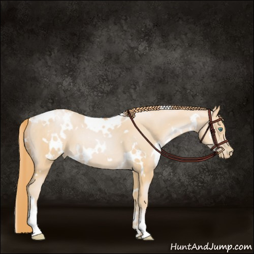 Horse Color:White Spotted Smoky Black Pearl