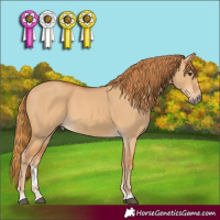 Horse Color:Red Dun 