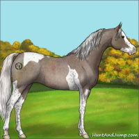 Horse Color:Silver Blue Roan Splash Tobiano